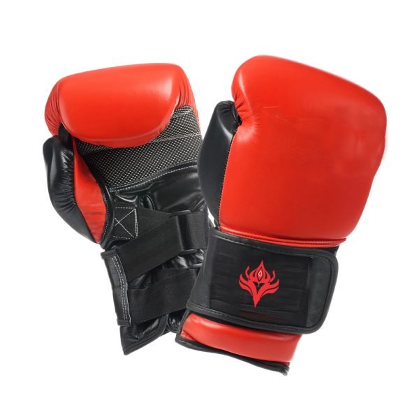 Boxing Glove